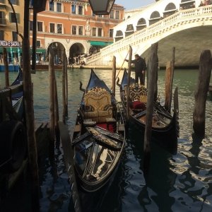 Intrari muzee Venetia